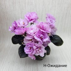 Н-Ожидание